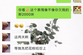 阎良要账公司更多成功案例详情